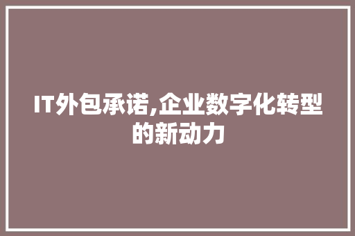 IT外包承诺,企业数字化转型的新动力
