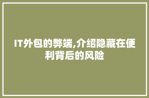 IT外包的弊端,介绍隐藏在便利背后的风险 必应SEO