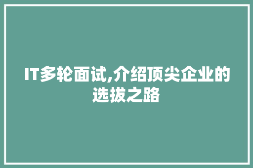 IT多轮面试,介绍顶尖企业的选拔之路