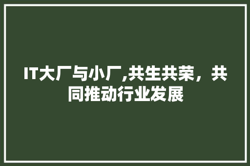 IT大厂与小厂,共生共荣，共同推动行业发展 GoogleSEO