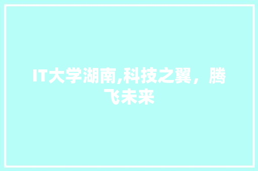 IT大学湖南,科技之翼，腾飞未来