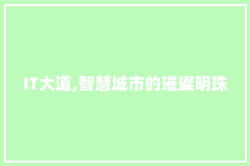 IT大道,智慧城市的璀璨明珠 GoogleSEO
