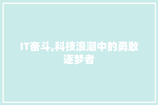 IT奋斗,科技浪潮中的勇敢逐梦者