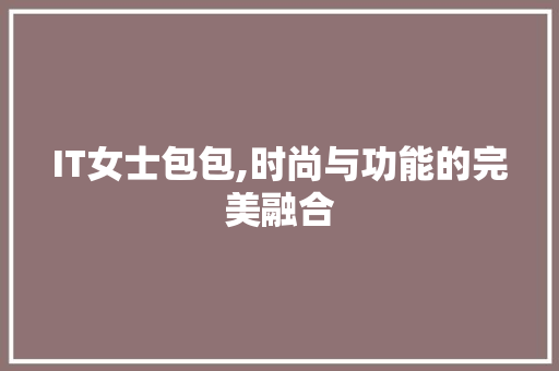 IT女士包包,时尚与功能的完美融合