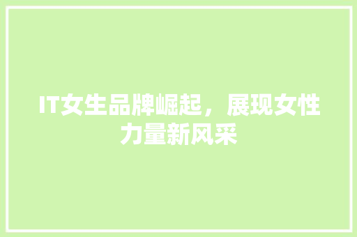 IT女生品牌崛起，展现女性力量新风采 必应SEO