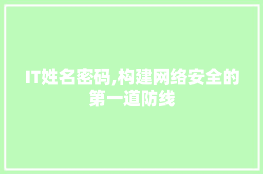 IT姓名密码,构建网络安全的第一道防线