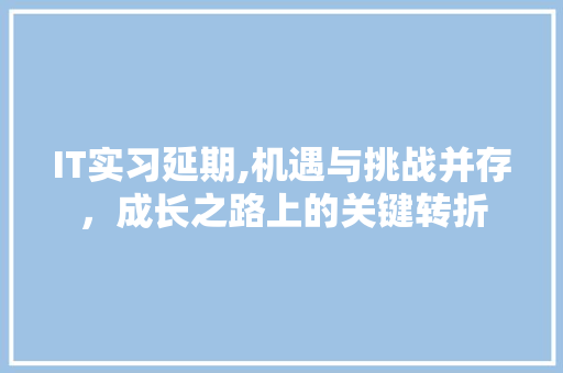 IT实习延期,机遇与挑战并存，成长之路上的关键转折 必应SEO
