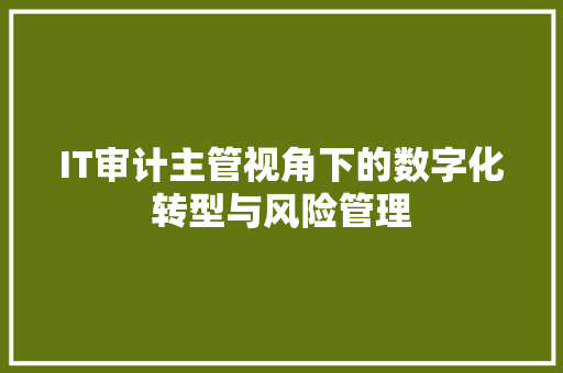 IT审计主管视角下的数字化转型与风险管理