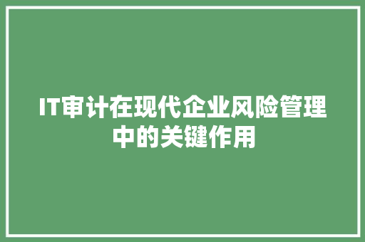 IT审计在现代企业风险管理中的关键作用