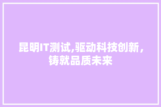 昆明IT测试,驱动科技创新，铸就品质未来