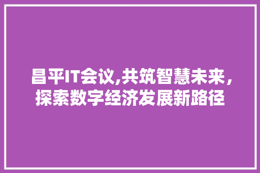 昌平IT会议,共筑智慧未来，探索数字经济发展新路径