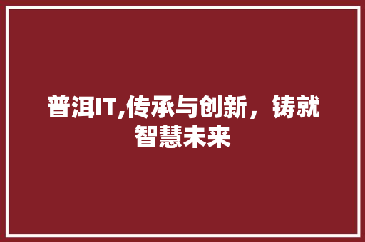 普洱IT,传承与创新，铸就智慧未来