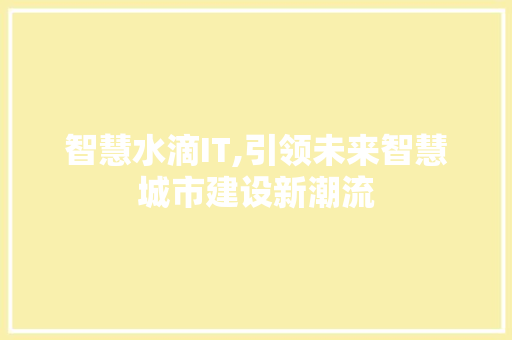 智慧水滴IT,引领未来智慧城市建设新潮流