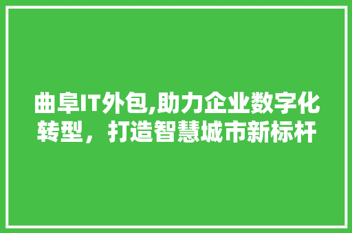 曲阜IT外包,助力企业数字化转型，打造智慧城市新标杆