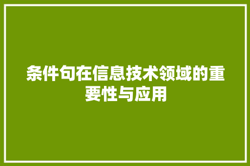 条件句在信息技术领域的重要性与应用 必应SEO