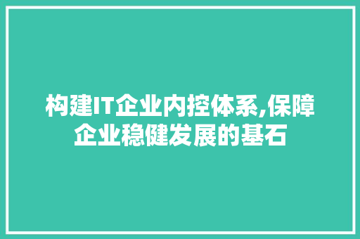构建IT企业内控体系,保障企业稳健发展的基石