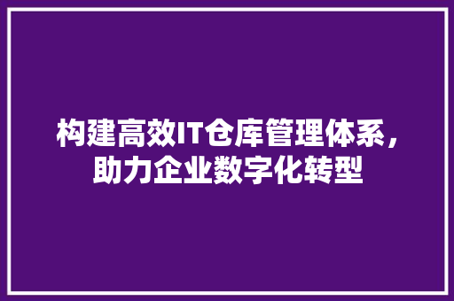 构建高效IT仓库管理体系，助力企业数字化转型 神马SEO