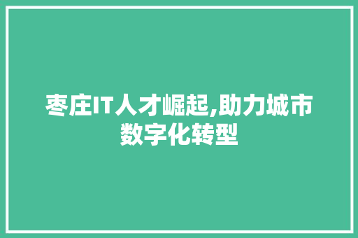枣庄IT人才崛起,助力城市数字化转型