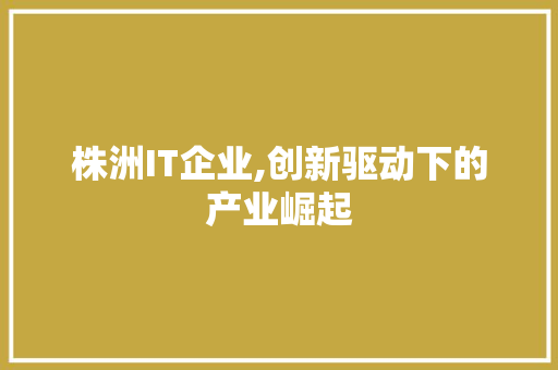 株洲IT企业,创新驱动下的产业崛起