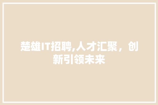 楚雄IT招聘,人才汇聚，创新引领未来 必应SEO