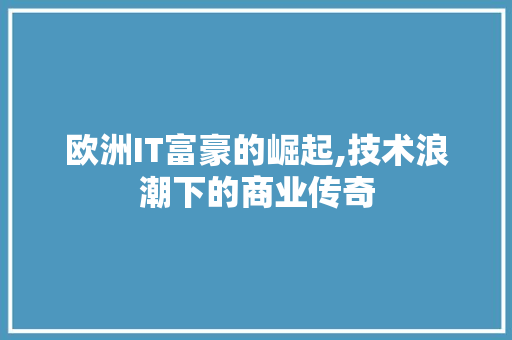 欧洲IT富豪的崛起,技术浪潮下的商业传奇