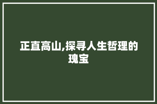 正直高山,探寻人生哲理的瑰宝