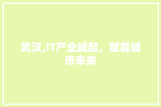 武汉,IT产业崛起，赋能城市未来