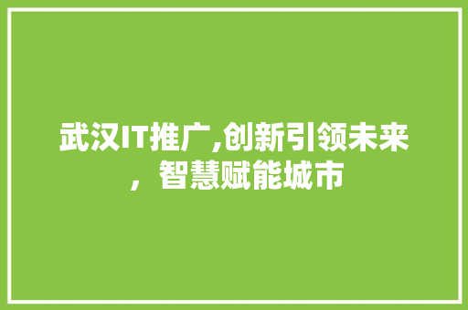 武汉IT推广,创新引领未来，智慧赋能城市