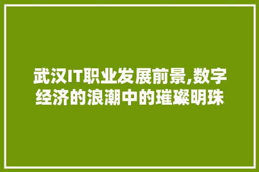 武汉IT职业发展前景,数字经济的浪潮中的璀璨明珠