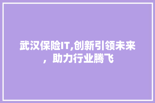 武汉保险IT,创新引领未来，助力行业腾飞
