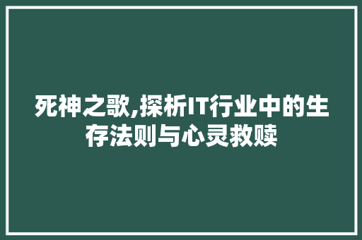 死神之歌,探析IT行业中的生存法则与心灵救赎 搜狗SEO