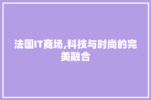 法国IT商场,科技与时尚的完美融合