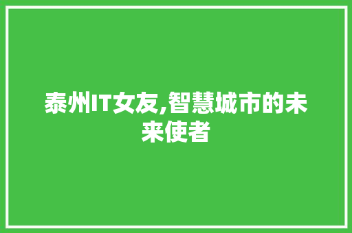 泰州IT女友,智慧城市的未来使者