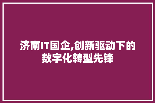 济南IT国企,创新驱动下的数字化转型先锋