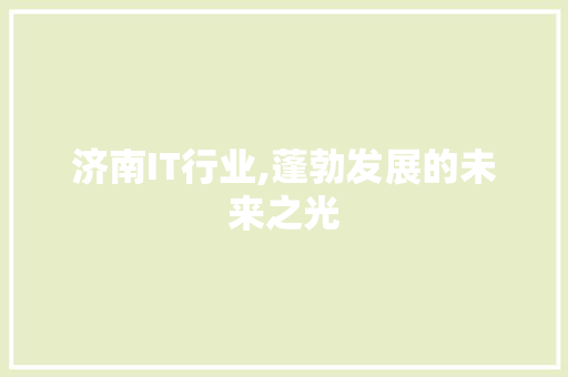 济南IT行业,蓬勃发展的未来之光