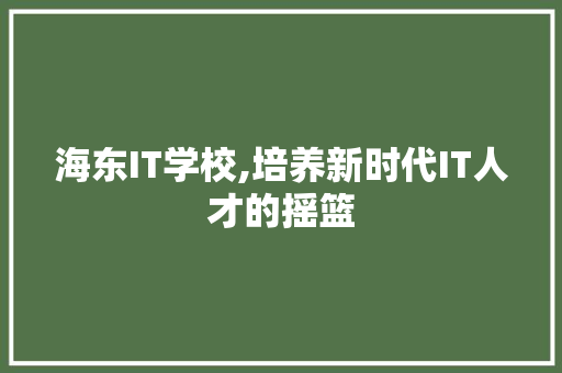 海东IT学校,培养新时代IT人才的摇篮