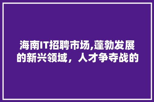 海南IT招聘市场,蓬勃发展的新兴领域，人才争夺战的号角已吹响
