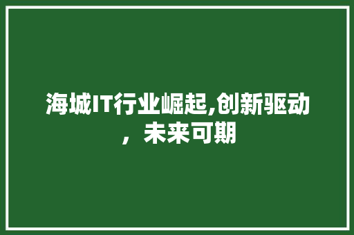 海城IT行业崛起,创新驱动，未来可期