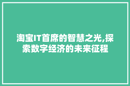 淘宝IT首席的智慧之光,探索数字经济的未来征程