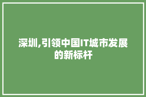 深圳,引领中国IT城市发展的新标杆