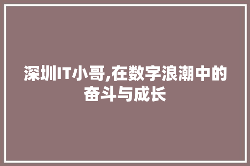 深圳IT小哥,在数字浪潮中的奋斗与成长