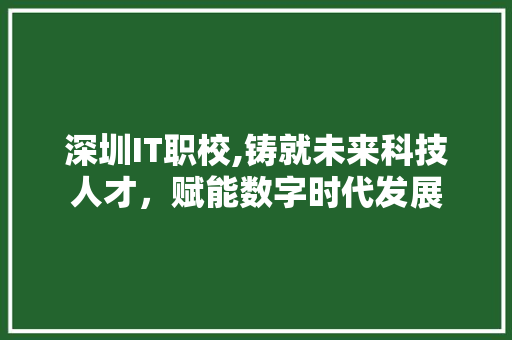 深圳IT职校,铸就未来科技人才，赋能数字时代发展