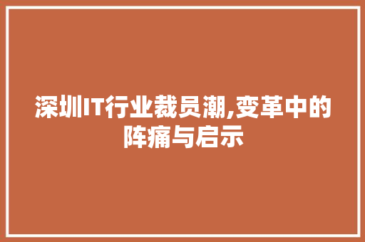 深圳IT行业裁员潮,变革中的阵痛与启示