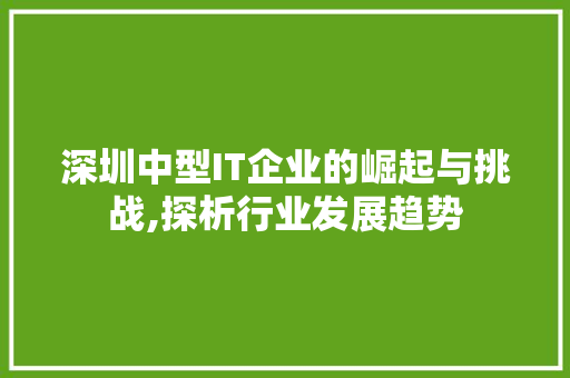 深圳中型IT企业的崛起与挑战,探析行业发展趋势