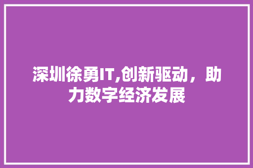 深圳徐勇IT,创新驱动，助力数字经济发展