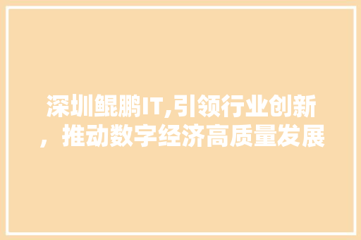 深圳鲲鹏IT,引领行业创新，推动数字经济高质量发展