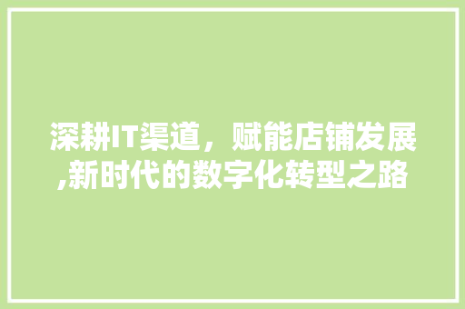 深耕IT渠道，赋能店铺发展,新时代的数字化转型之路