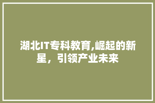 湖北IT专科教育,崛起的新星，引领产业未来