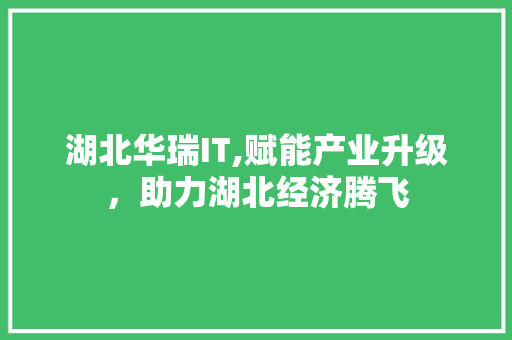 湖北华瑞IT,赋能产业升级，助力湖北经济腾飞 GoogleSEO