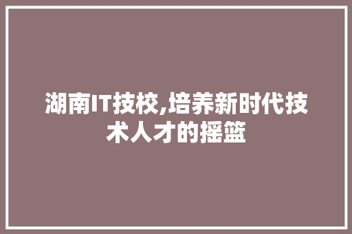 湖南IT技校,培养新时代技术人才的摇篮